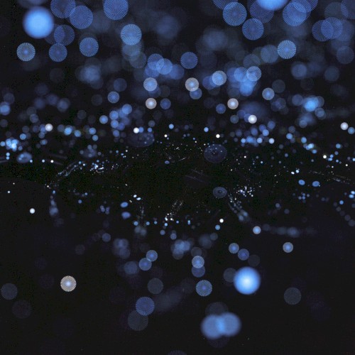 Instrumental#01