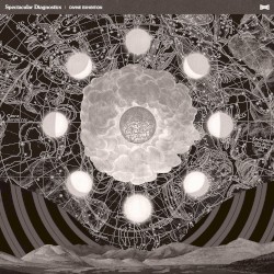 Divine Exhibition