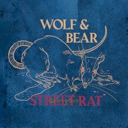 Street Rat