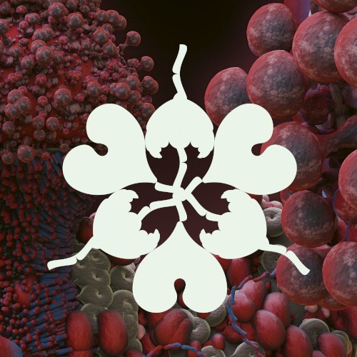 Ovule (Sega Bodega remix)