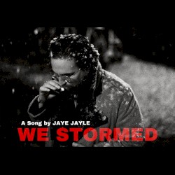 We Stormed