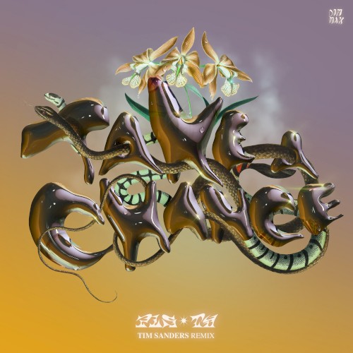 Take a Chance (Tim Sanders remix)