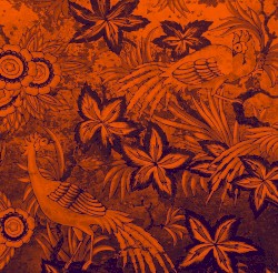 The Garden of Paradise