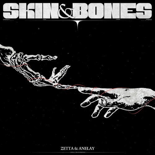 SKIN&BONES