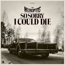 So Sorry I Could Die