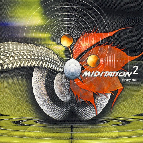 Meditation 2: Binary Chill