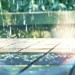 Sunshower