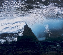 The Water in You