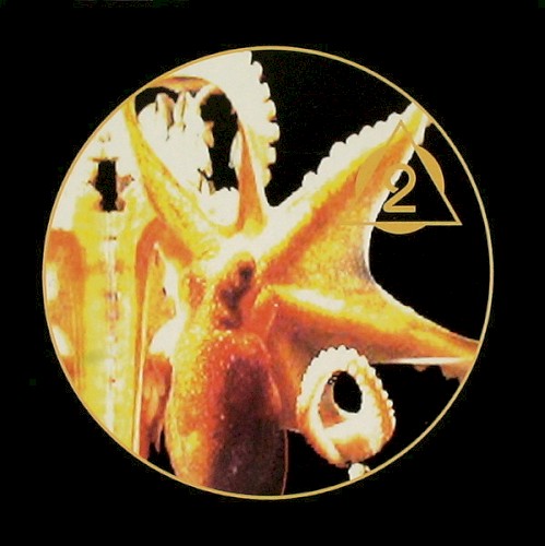 Octopus 2