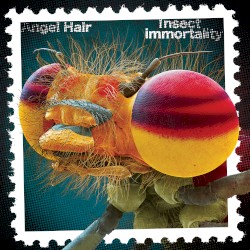 Insect Immortality