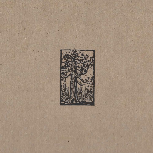 Sequoia