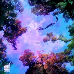 Canopy