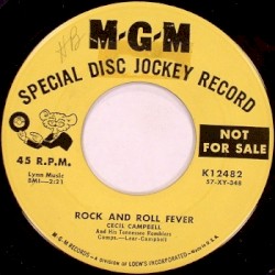Rock and Roll Fever / The Rocking Guitar