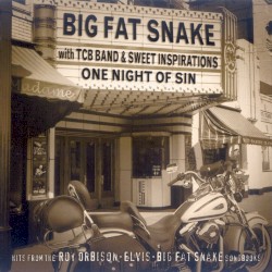 One Night of Sin