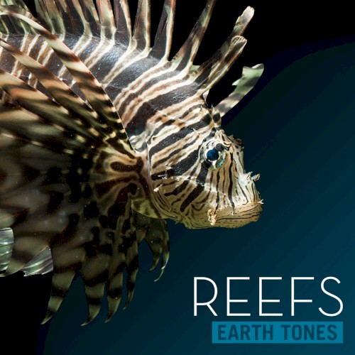 Reefs