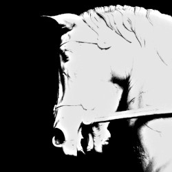 Birth / Memory