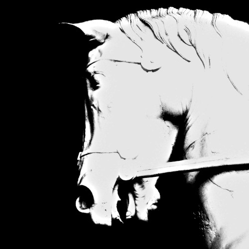Birth / Memory