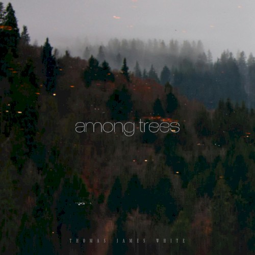 Among Trees