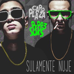 Sulamente nuje