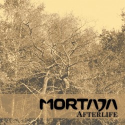 Afterlife