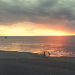 Hayama Ambient 028