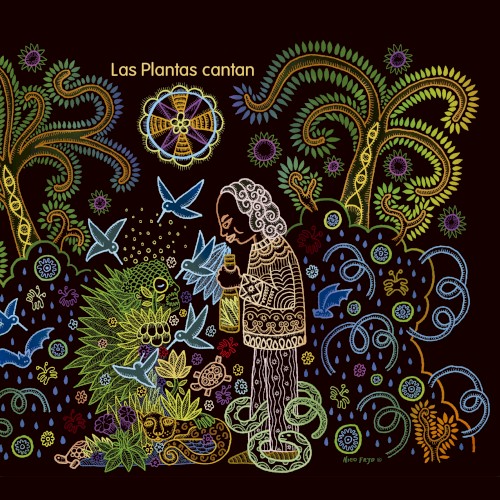 Las plantas cantan