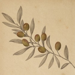 Nostos