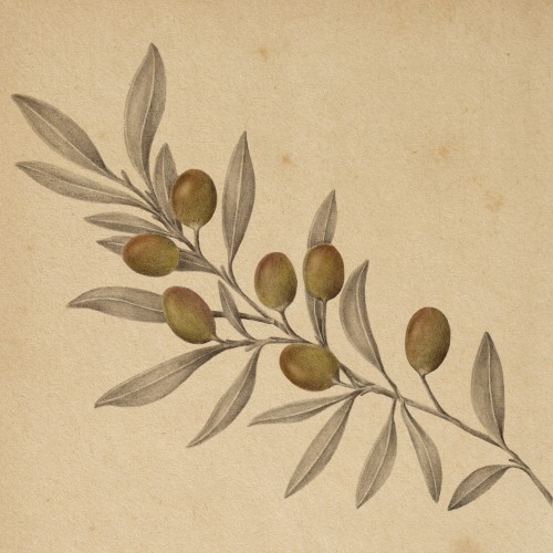 Nostos