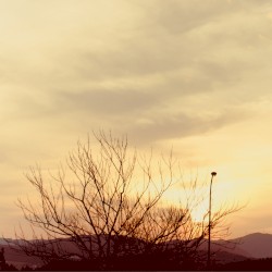 slow down/twilight