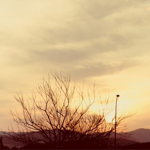 slow down/twilight