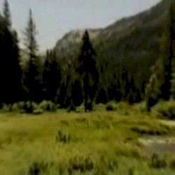 Outlands