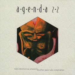 Agenda 22 (Another Eevo Lute Compilation)