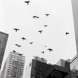 Stadt I Grau