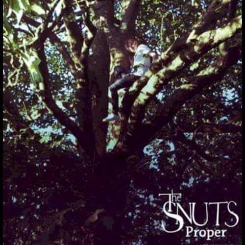 Proper (demo)