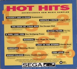 Hot Hits: Adventurous New Music Sampler / Rock Paintings CD+G Sampler