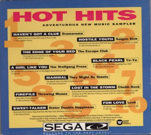 Hot Hits: Adventurous New Music Sampler / Rock Paintings CD+G Sampler