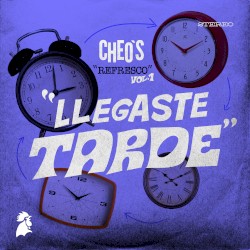 Llegaste tarde