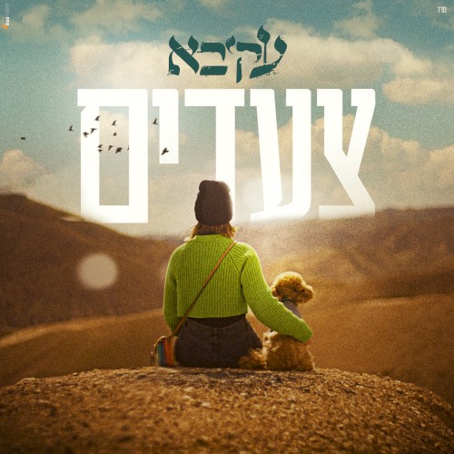 צעדים