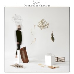 Dis-moi où tu m’emmènes
