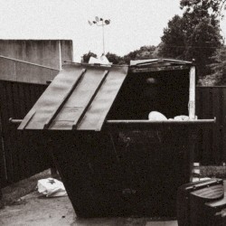 Dumpster Dive