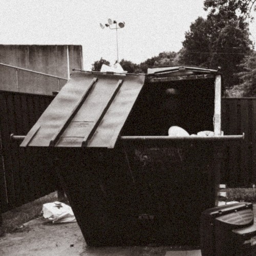 Dumpster Dive