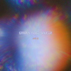 Gnarly Noise Saucer
