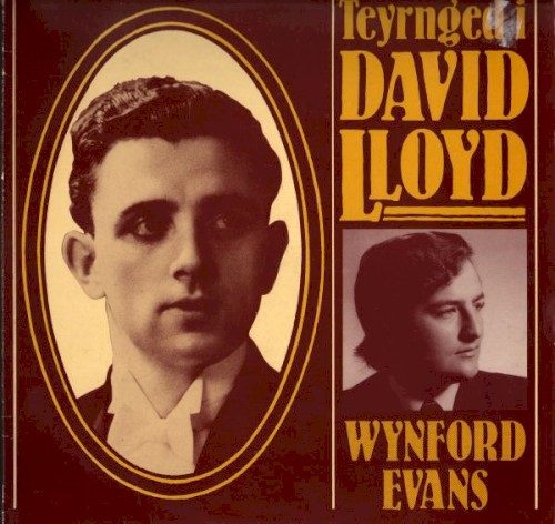 Teyrnged i David Lloyd