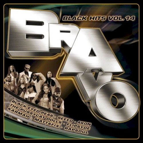 Bravo Black Hits, Vol. 14