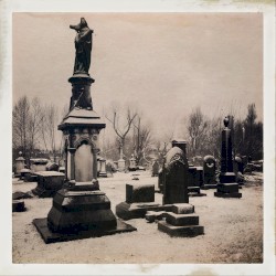 The Garden of Jane Delawney