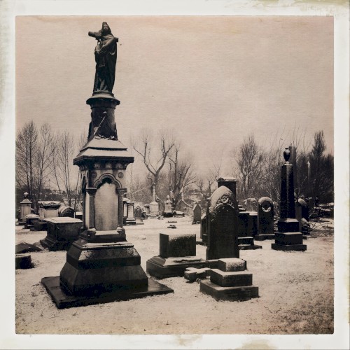 The Garden of Jane Delawney