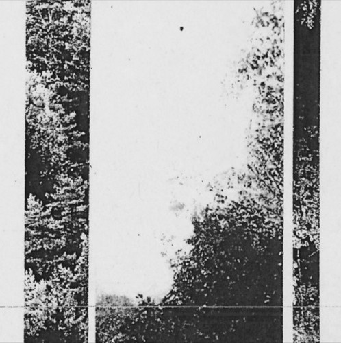Benchmark Ridge