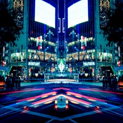 Shibuya Nights
