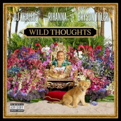 Wild Thoughts (Remixes)