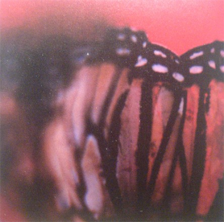 Crestfallen / Winters Crackling Glory
